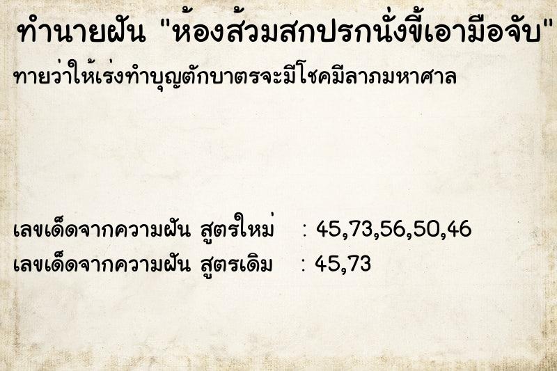 ทำนายฝันทำนายฝันห้องส้วมสกปรกนั่งขี้เอามือจับ