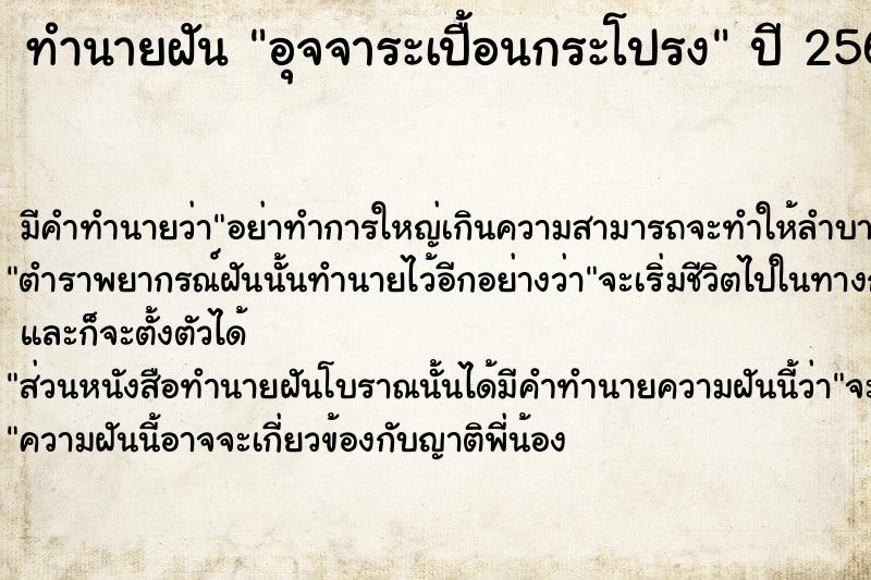 ทำนายฝันทำนายฝันอุจจาระเปื้อนกระโปรง