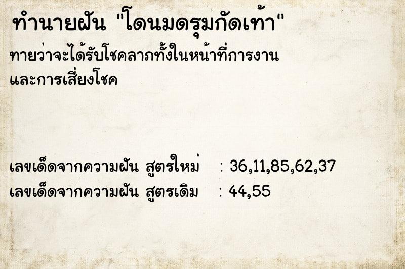 ทำนายฝัน โดนมดรุมกัดเท้า ทำนายฝัน โดนมดรุมกัดเท้า