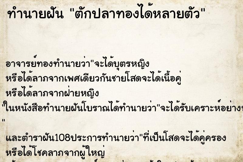 ทำนายฝัน ตักปลาทองได้หลายตัว ทำนายฝัน ตักปลาทองได้หลายตัว