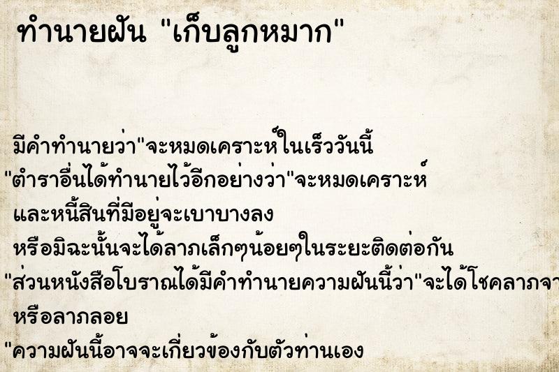 ทำนายฝัน เก็บลูกหมาก