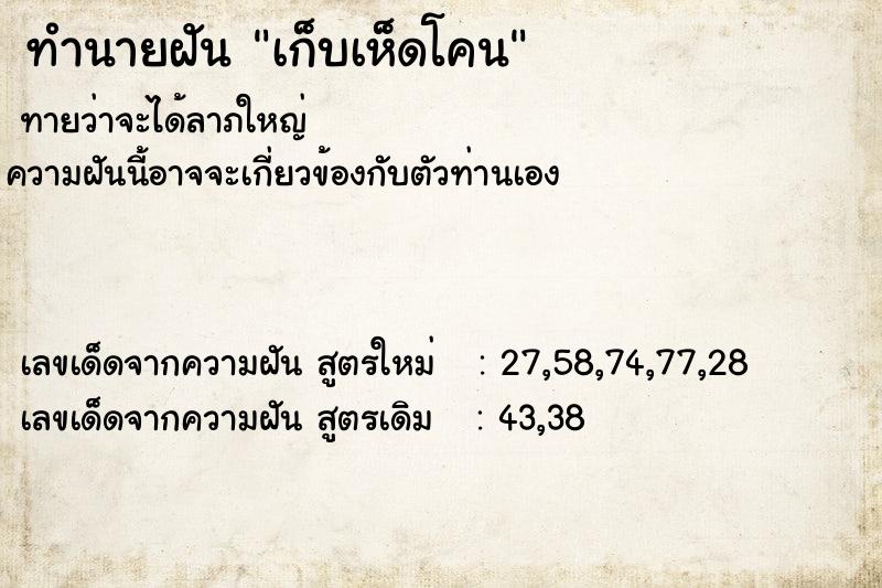 ทำนายฝัน เก็บเห็ดโคน ทำนายฝัน เก็บเห็ดโคน