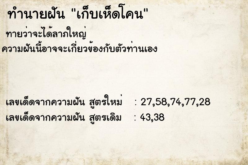 ทำนายฝัน เก็บเห็ดโคน ตำราโบราณ แม่นที่สุดในโลก