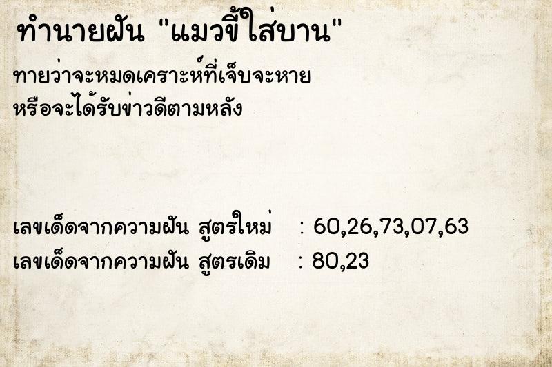 ทำนายฝันทำนายฝันแมวขี้ใส่บาน