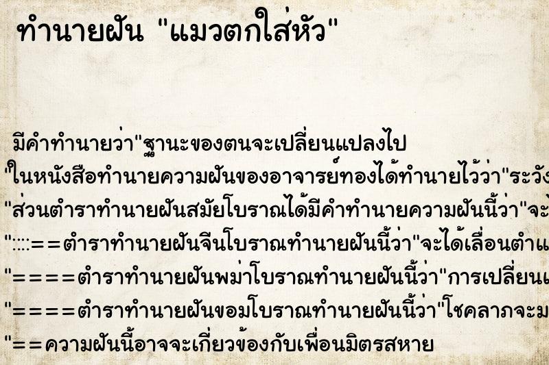 ทำนายฝัน แมวตกใส่หัว ทำนายฝัน แมวตกใส่หัว