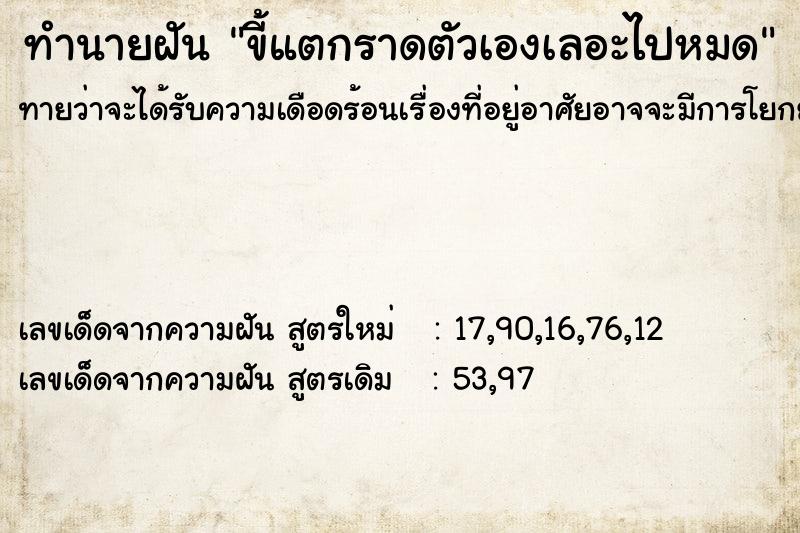 ทำนายฝันขี้แตกราดตัวเองเลอะไปหมด ทำนายฝันทำนายฝันขี้แตกราดตัวเองเลอะไปหมด