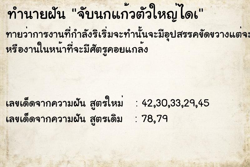 ทำนายฝันทำนายฝันจับนกแก้วตัวใหญ่ไดà