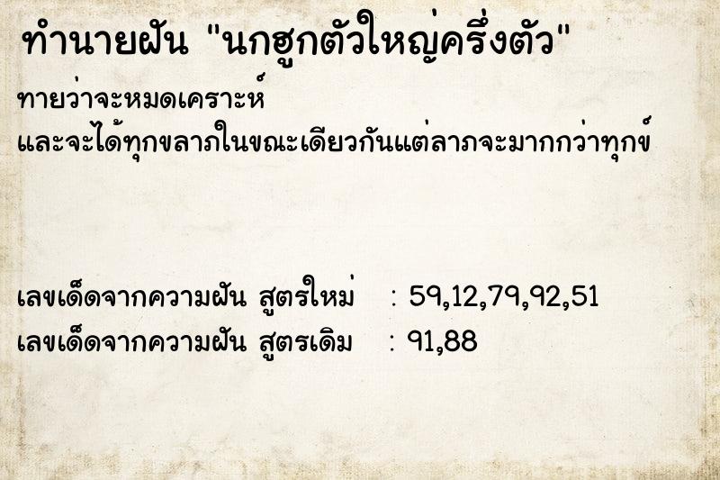 ทำนายฝัน นกฮูกตัวใหญ่ครึ่งตัว ทำนายฝัน นกฮูกตัวใหญ่ครึ่งตัว