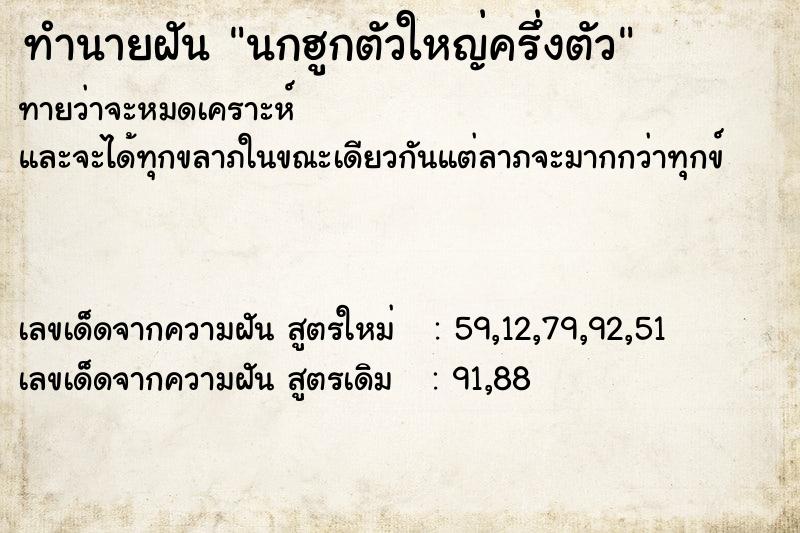 ทำนายฝัน นกฮูกตัวใหญ่ครึ่งตัว ตำราโบราณ แม่นที่สุดในโลก