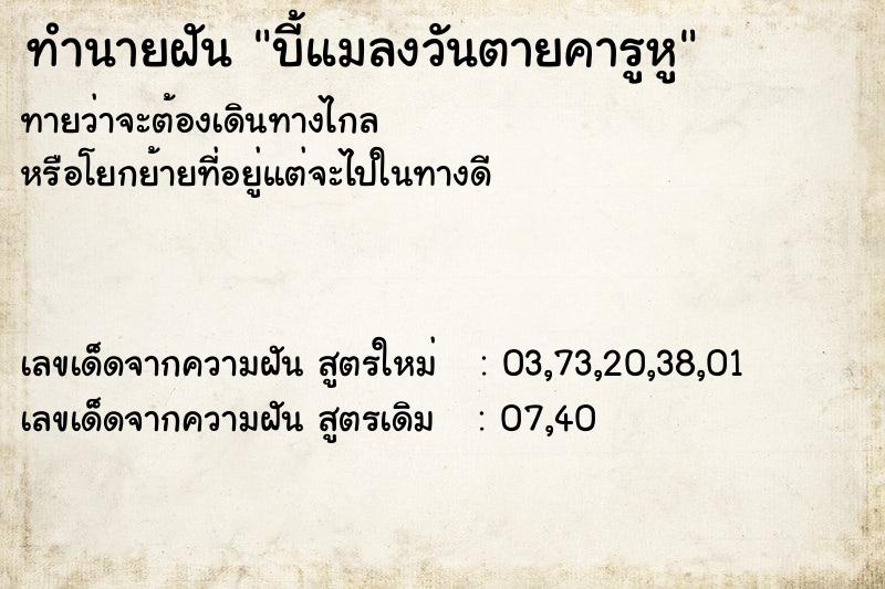ทำนายฝันทำนายฝันบี้แมลงวันตายคารูหู