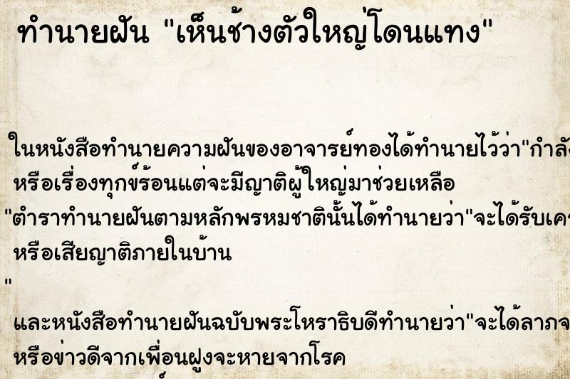 ทำนายฝัน เห็นช้างตัวใหญ่โดนแทง ทำนายฝัน เห็นช้างตัวใหญ่โดนแทง