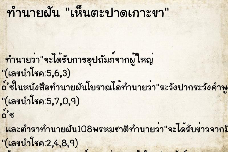 ทำนายฝันเห็นตะปาดเกาะขา ทำนายฝันทำนายฝันเห็นตะปาดเกาะขา