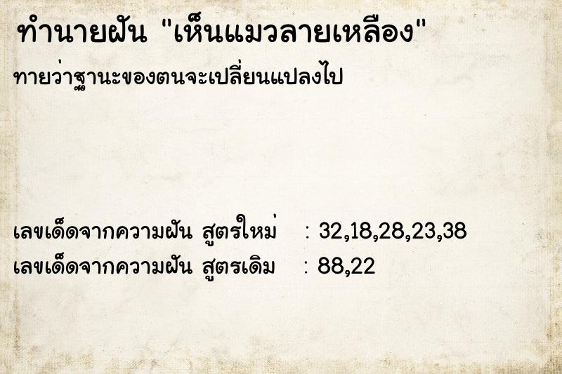 ทำนายฝันเห็นแมวลายเหลือง ทำนายฝันทำนายฝันเห็นแมวลายเหลือง