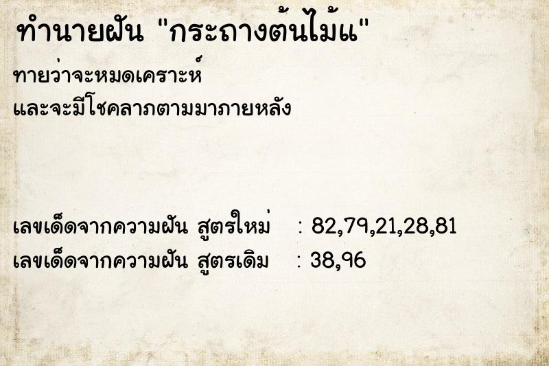 ทำนายฝันทำนายฝันกระถางต้นไม้แ