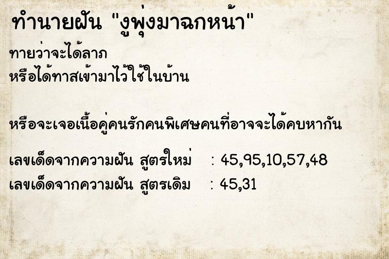 ทำนายฝันงูพุ่งมาฉกหน้า ทำนายฝันทำนายฝันงูพุ่งมาฉกหน้า