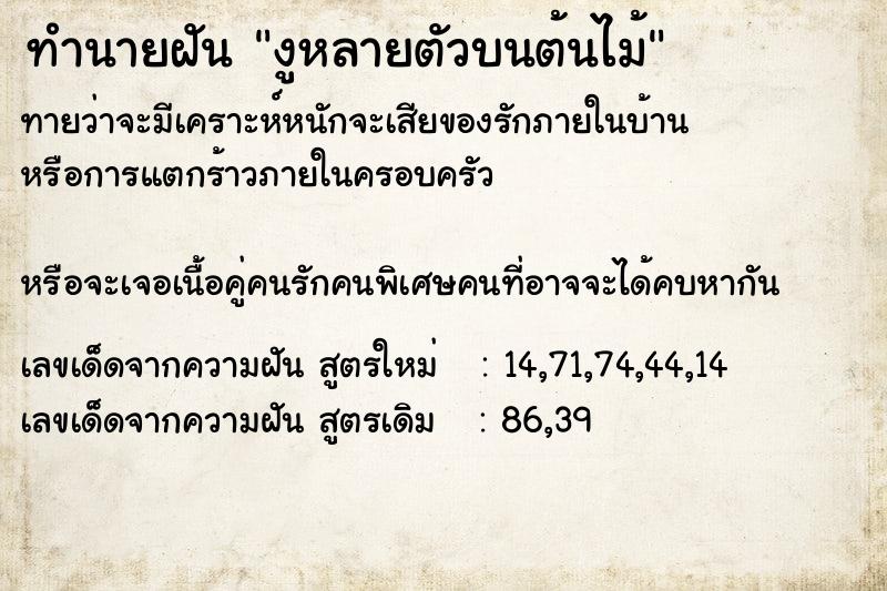 ทำนายฝัน งูหลายตัวบนต้นไม้ ทำนายฝัน งูหลายตัวบนต้นไม้