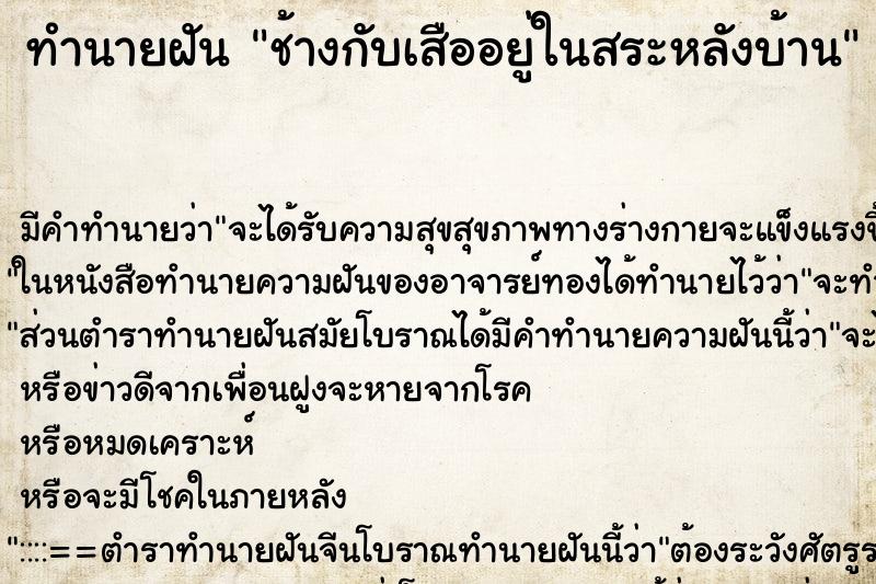 ทำนายฝัน ช้างกับเสืออยู่ในสระหลังบ้าน ทำนายฝัน ช้างกับเสืออยู่ในสระหลังบ้าน