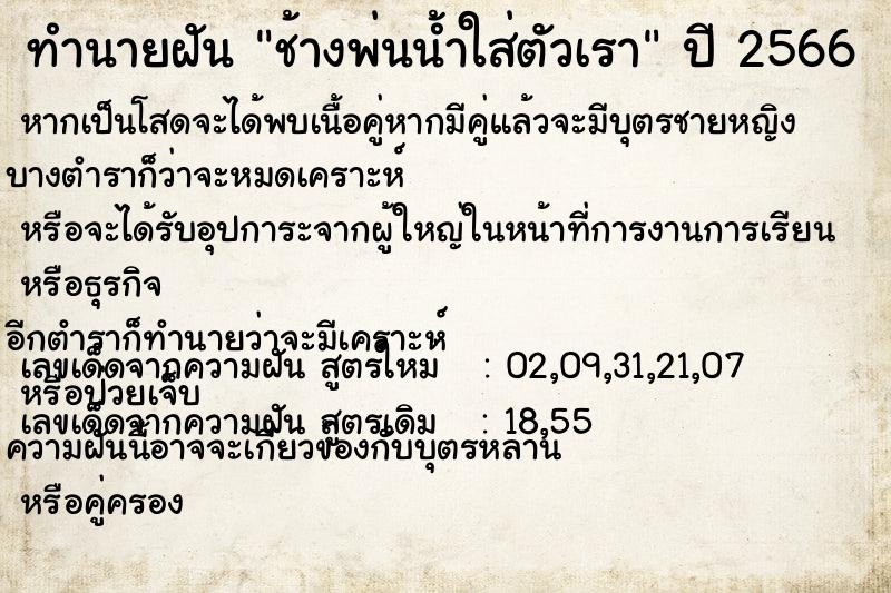 ทำนายฝัน ช้างพ่นน้ำใส่ตัวเรา ทำนายฝัน ช้างพ่นน้ำใส่ตัวเรา
