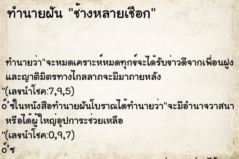 ทำนายฝันช้างหลายเชือก ทำนายฝันทำนายฝันช้างหลายเชือก