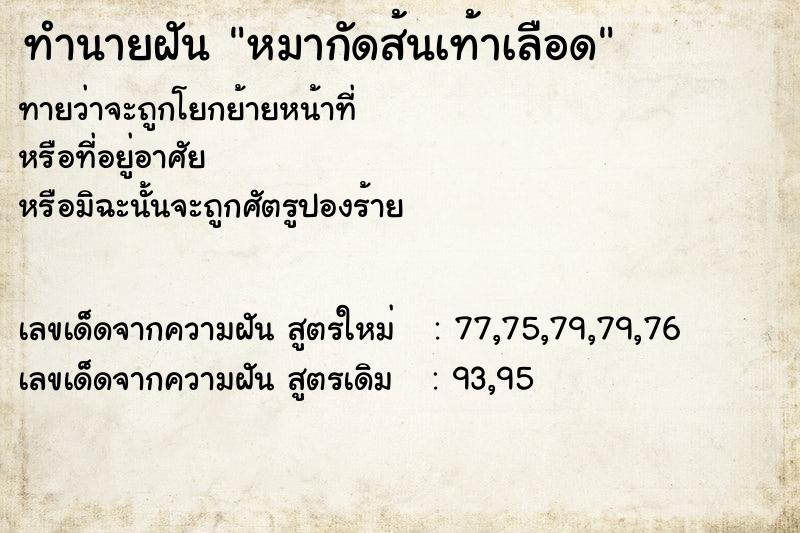 ทำนายฝันหมากัดส้นเท้าเลือด ทำนายฝันทำนายฝันหมากัดส้นเท้าเลือด