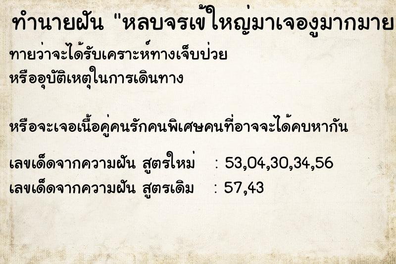 ทำนายฝันทำนายฝันหลบจรเข้ใหญ่มาเจองูมากมาย