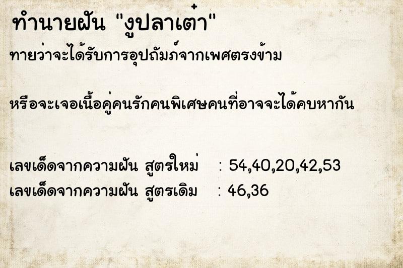 ทำนายฝันงูปลาเต๋า ทำนายฝันทำนายฝันงูปลาเต๋า