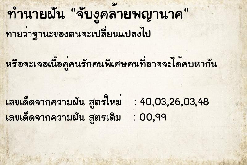 ทำนายฝันทำนายฝันจับงูคล้ายพญานาค