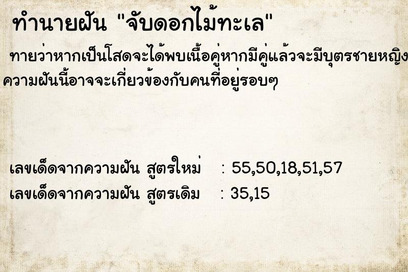 ทำนายฝันจับดอกไม้ทะเล ทำนายฝันทำนายฝันจับดอกไม้ทะเล