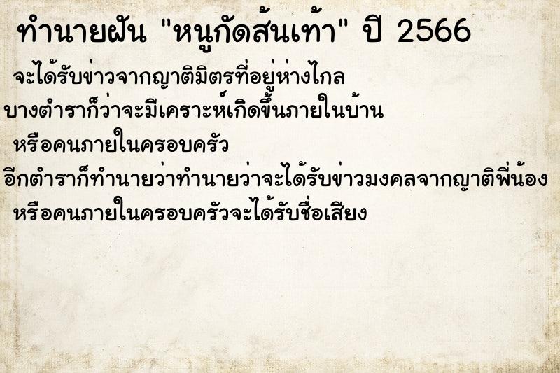 ทำนายฝัน หนูกัดส้นเท้า ทำนายฝัน หนูกัดส้นเท้า