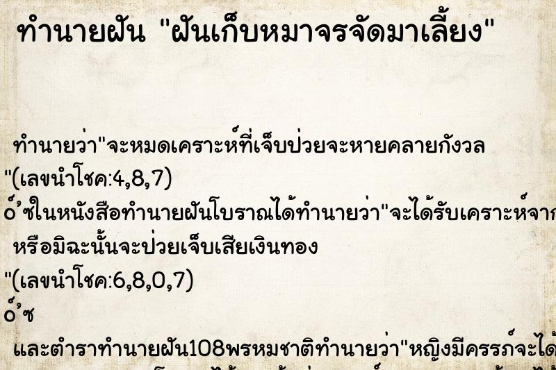 ทำนายฝัน ฝันเก็บหมาจรจัดมาเลี้ยง