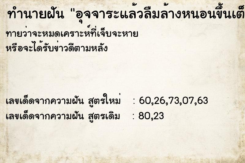 ทำนายฝันทำนายฝันอุจจาระแล้วลืมล้างหนอนขึ้นเต็ม