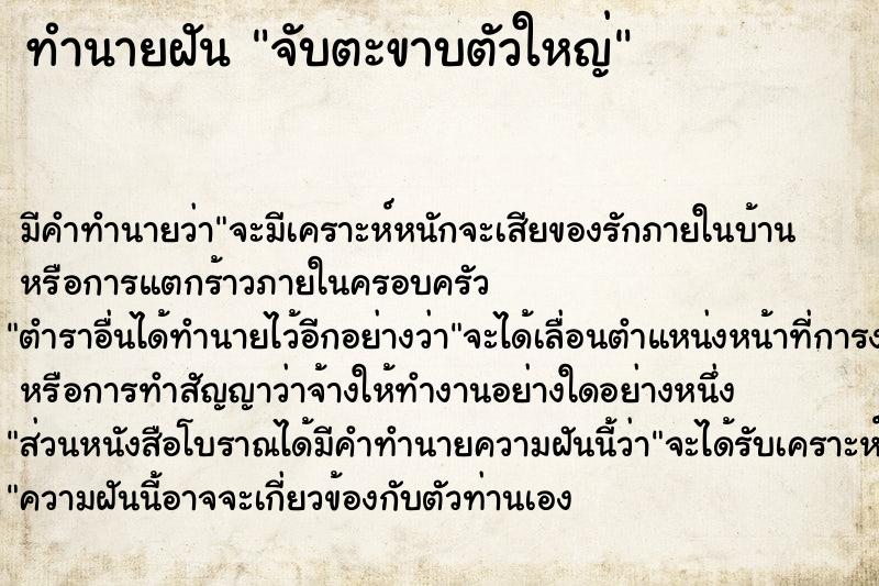 ทำนายฝัน จับตะขาบตัวใหญ่ ทำนายฝัน จับตะขาบตัวใหญ่