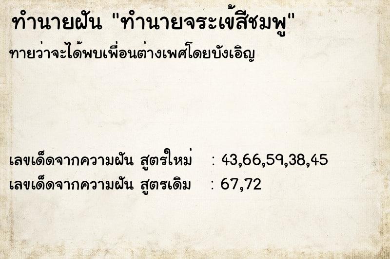 ทำนายฝันทำนายจระเข้สีชมพู ทำนายฝันทำนายฝันทำนายจระเข้สีชมพู