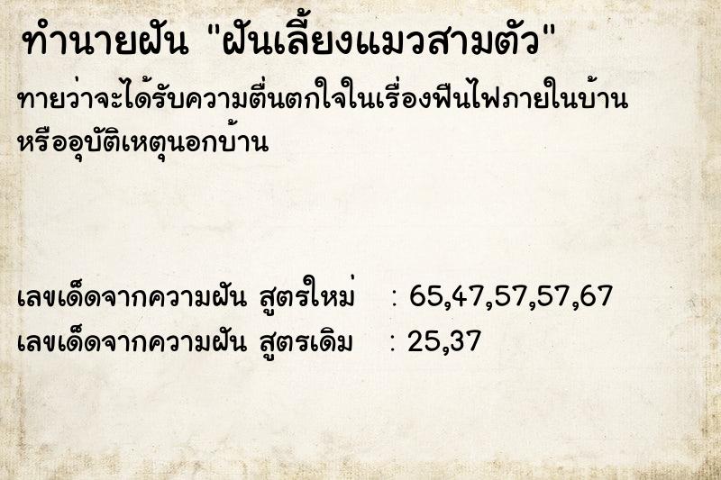 ทำนายฝันฝันเลี้ยงแมวสามตัว ทำนายฝันทำนายฝันฝันเลี้ยงแมวสามตัว