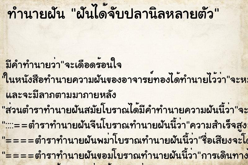 ทำนายฝัน ฝันได้จับปลานิลหลายตัว ทำนายฝัน ฝันได้จับปลานิลหลายตัว