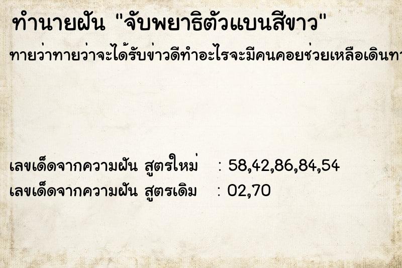 ทำนายฝันจับพยาธิตัวแบนสีขาว ทำนายฝันทำนายฝันจับพยาธิตัวแบนสีขาว