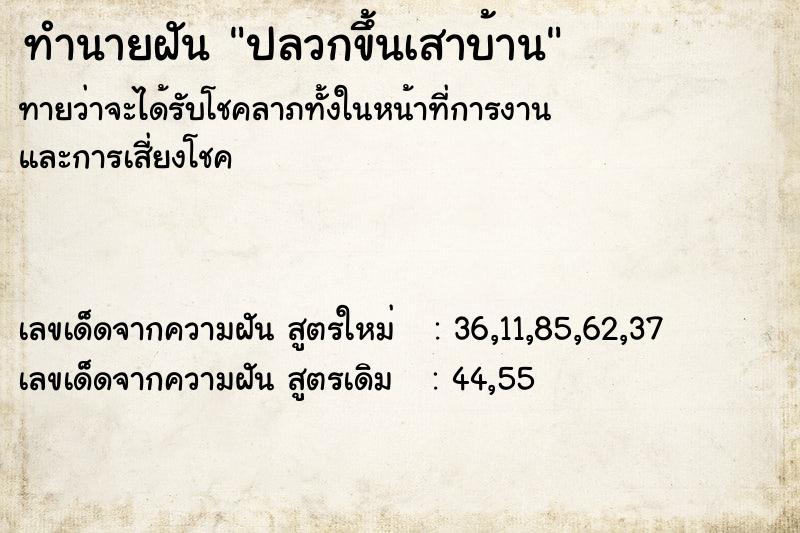 ทำนายฝัน ปลวกขึ้นเสาบ้าน ตำราโบราณ แม่นที่สุดในโลก