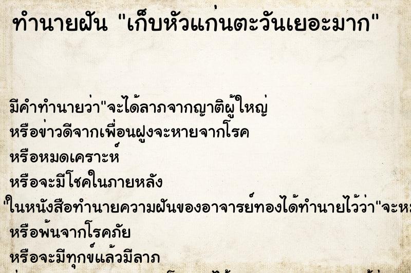 ทำนายฝันเก็บหัวแก่นตะวันเยอะมาก ทำนายฝันทำนายฝันเก็บหัวแก่นตะวันเยอะมาก
