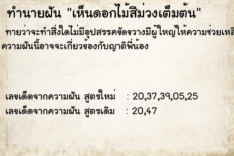 ทำนายฝันเห็นดอกไม้สีม่วงเต็มต้น ทำนายฝันทำนายฝันเห็นดอกไม้สีม่วงเต็มต้น