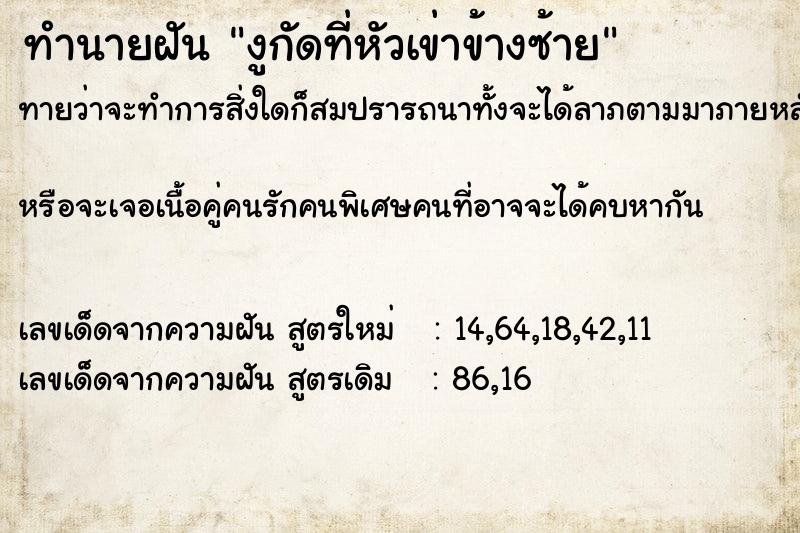 ทำนายฝันงูกัดที่หัวเข่าข้างซ้าย ทำนายฝันทำนายฝันงูกัดที่หัวเข่าข้างซ้าย