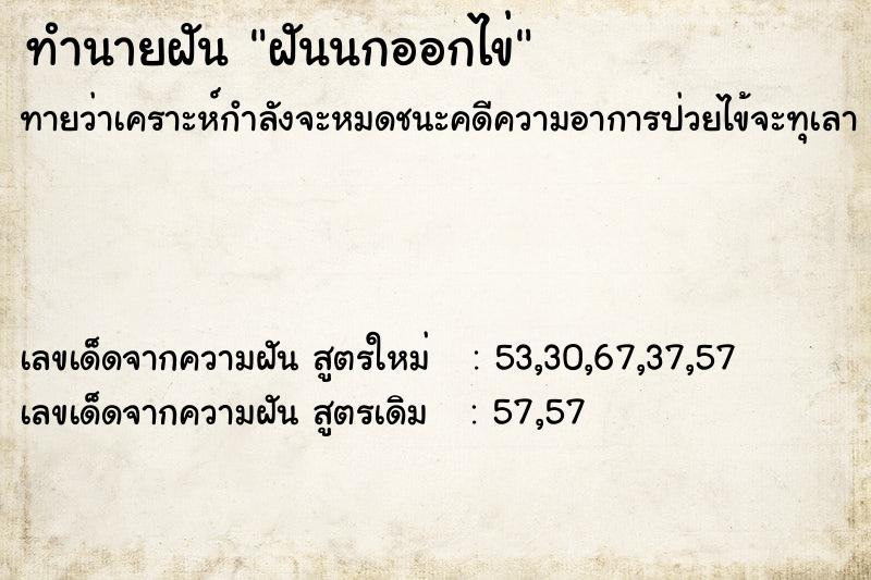 ทำนายฝันฝันนกออกไข่ ทำนายฝันทำนายฝันฝันนกออกไข่