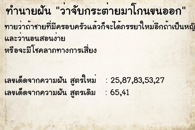 ทำนายฝันทำนายฝันว่าจับกระต่ายมาโกนขนออก