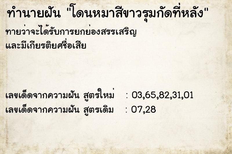 ทำนายฝันทำนายฝันโดนหมาสีขาวรุมกัดที่หลัง
