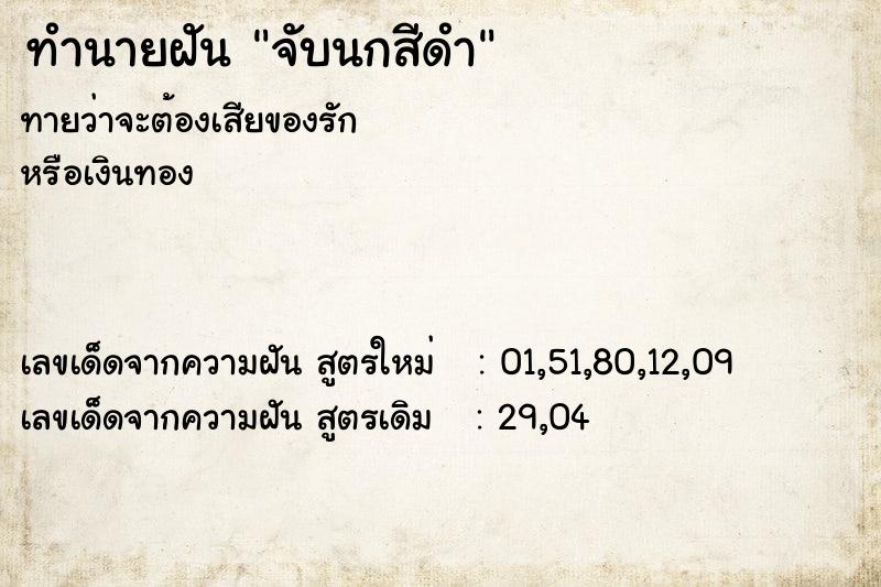 ทำนายฝัน จับนกสีดำ