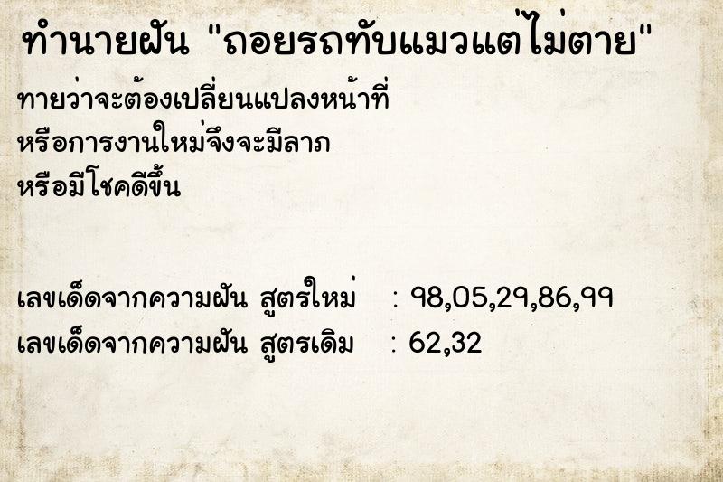 ทำนายฝันถอยรถทับแมวแต่ไม่ตาย ทำนายฝันทำนายฝันถอยรถทับแมวแต่ไม่ตาย
