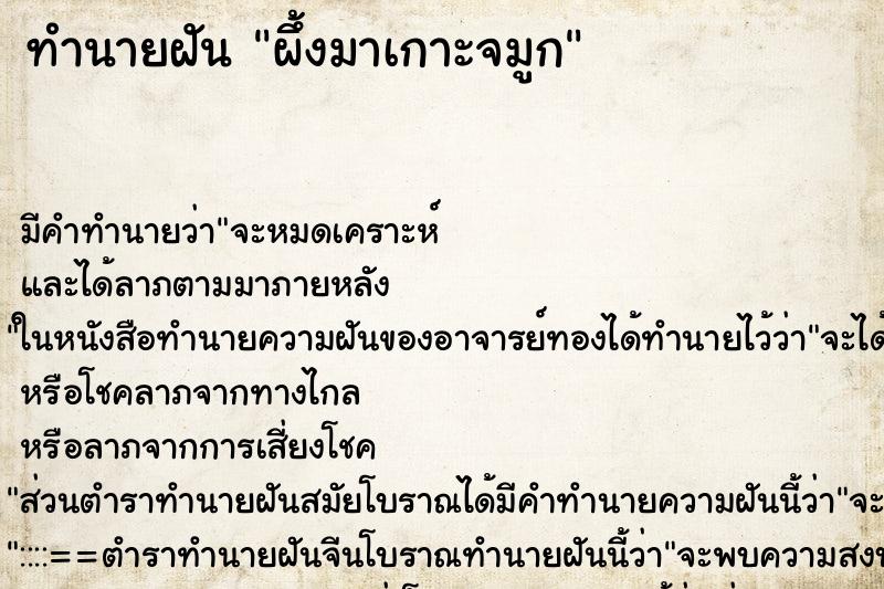 ทำนายฝัน ผึ้งมาเกาะจมูก ทำนายฝัน ผึ้งมาเกาะจมูก