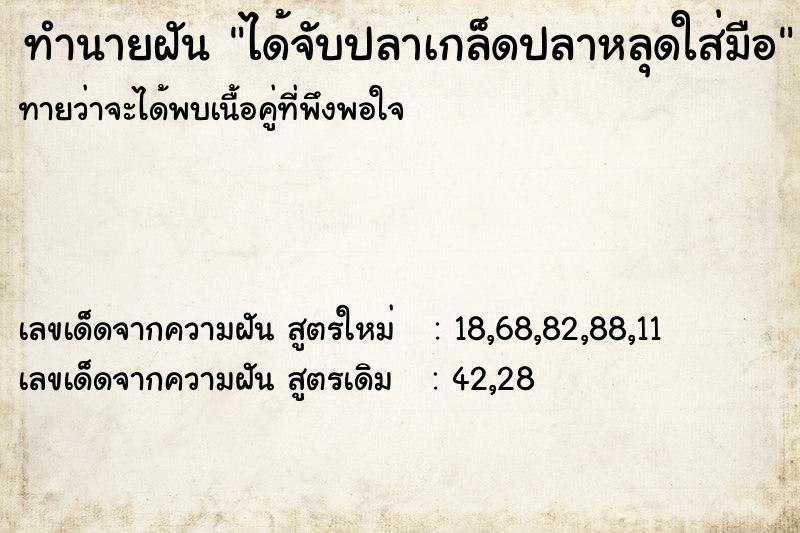 ทำนายฝันทำนายฝันได้จับปลาเกล็ดปลาหลุดใส่มือ