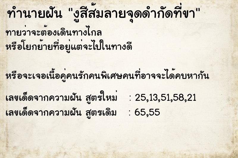 ทำนายฝัน งูสีส้มลายจุดดำกัดที่ขา