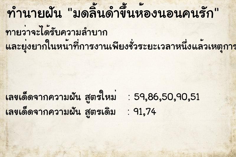 ทำนายฝันทำนายฝันมดลิ้นดำขึ้นห้องนอนคนรัก