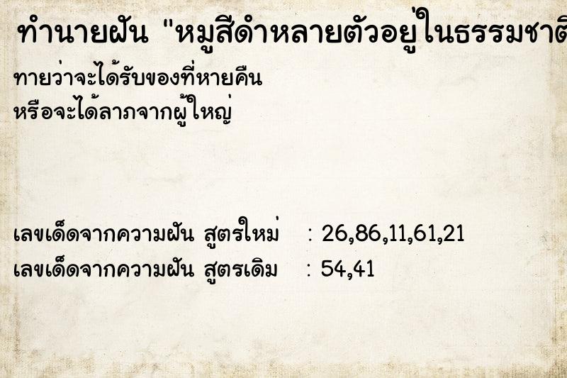 ทำนายฝัน หมูสีดำหลายตัวอยู่ในธรรมชาติ